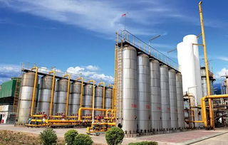 庆祝新中国成立70周年 平煤神马集团11个化工新材料重点项目集中开竣工