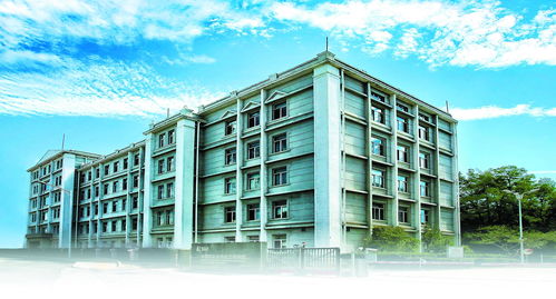 北京化工研究院 以科技创新为笔，在化工新材料沃土上绘就高质量发展新图景