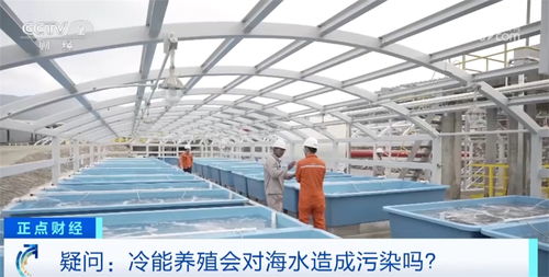 从陆地到海洋的蓝色跨越 化工新材料驱动绿色海洋牧场建设